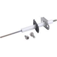 Elektroda jonizacyjna